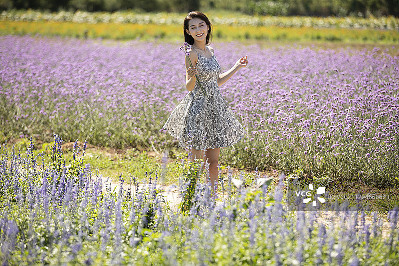 年轻女士在薰衣草田地里图片素材