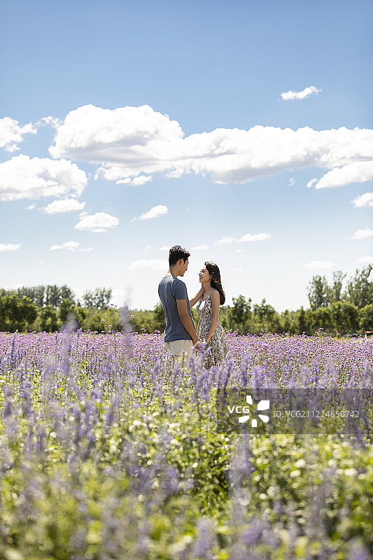 夏日之恋图片素材
