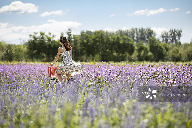 年轻女孩在户外骑自行车图片素材