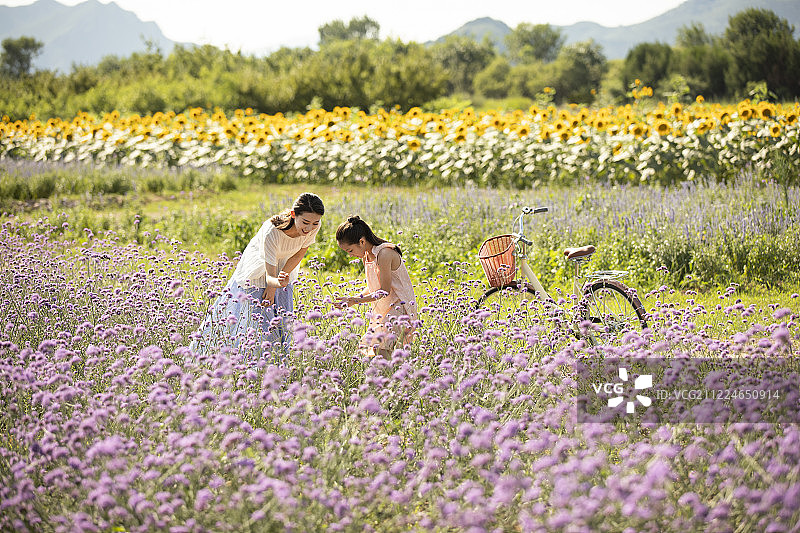 母女俩在花田里图片素材