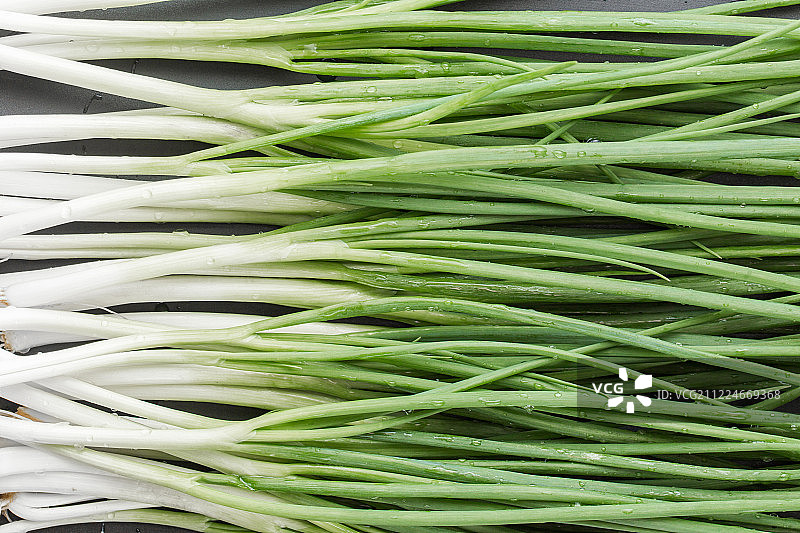 新鲜的香葱图片素材