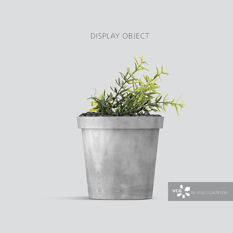 物品、配件、花盆、室内装饰、植物图片素材