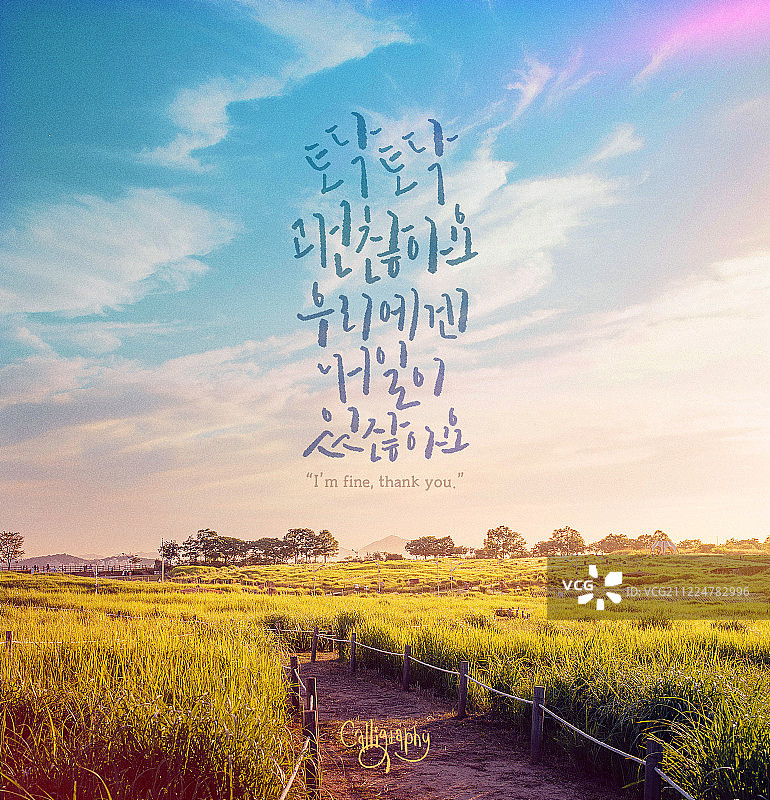 书法、手写、感性、秋季、季节、日落、日本芒草、草地、向上图片素材