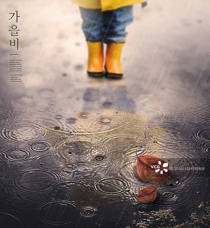 秋季意境落叶雨景图片素材