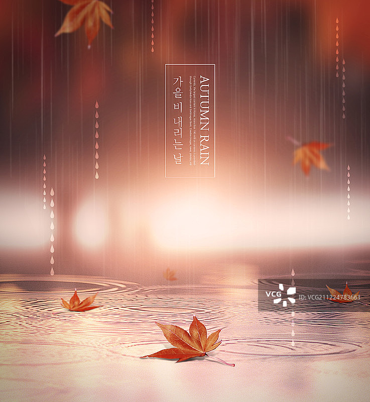 秋季意境落叶雨景图片素材
