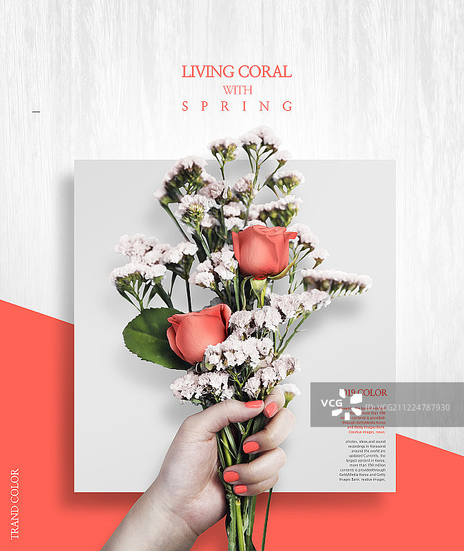 珊瑚色，潮流色图片素材