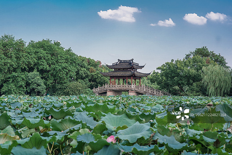 杭州西湖曲院风荷玉带晴虹景区风景图片素材