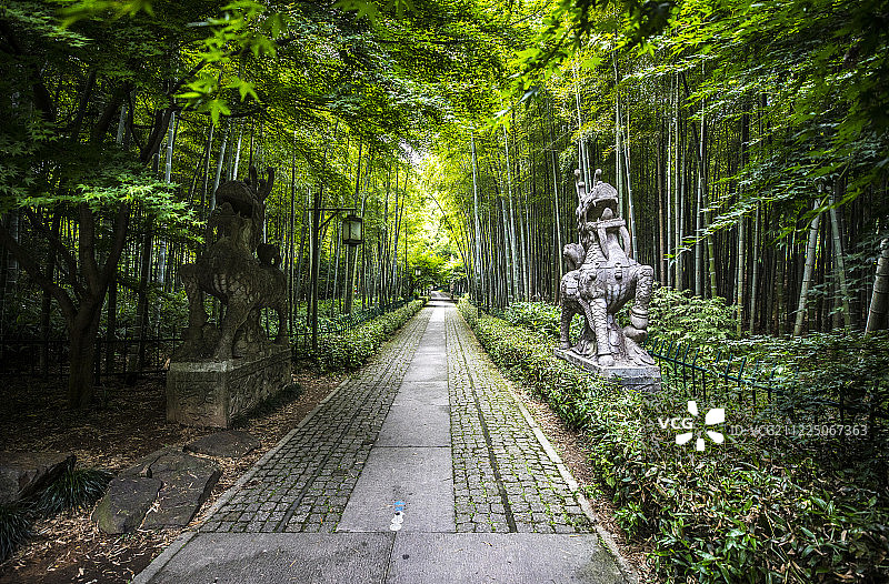 杭州云栖竹径风光图片素材