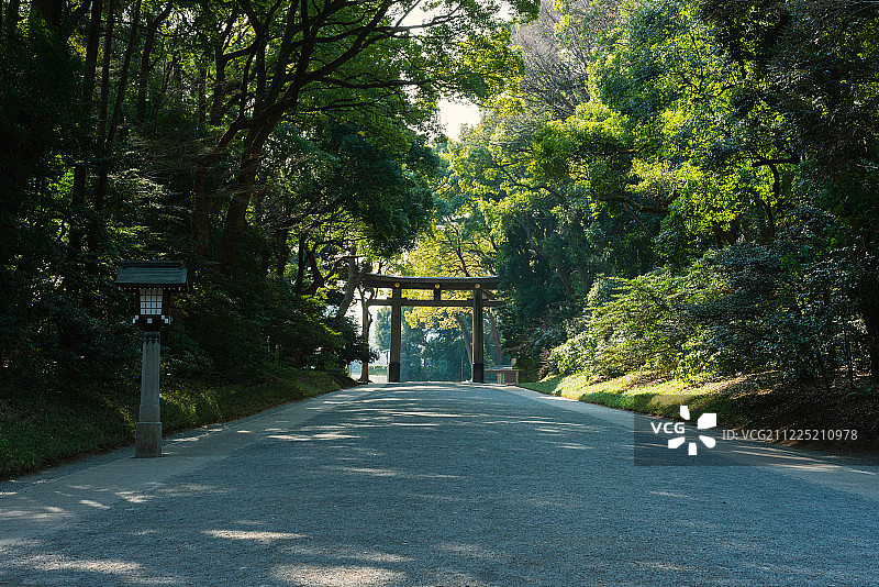 日本东京明治神宫道路图片素材