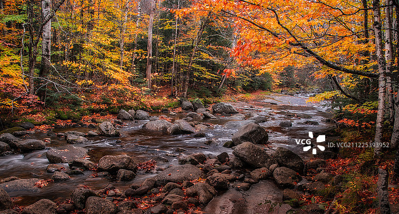 缅因州格拉夫顿峡州立公园熊河秋景图片素材