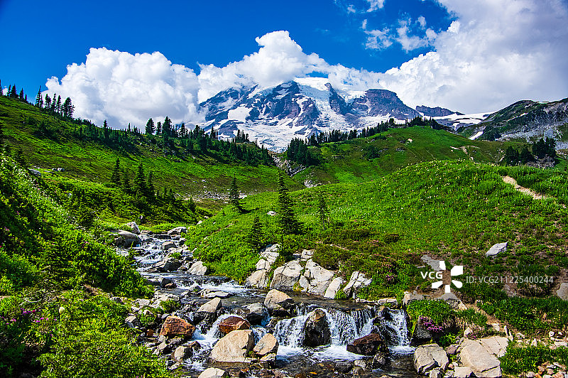 雷尼尔山图片素材