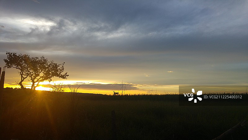塞拉多日落。图片素材