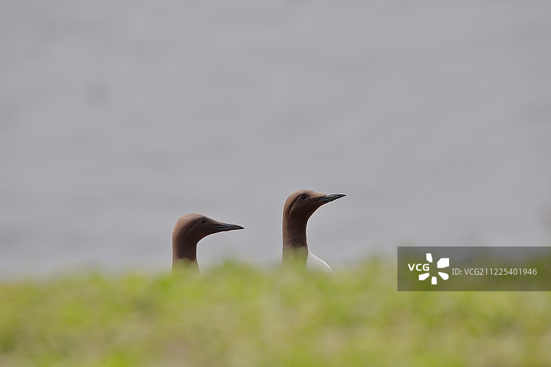 潜望镜升起图片素材