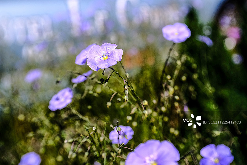 停车场诗意图片素材