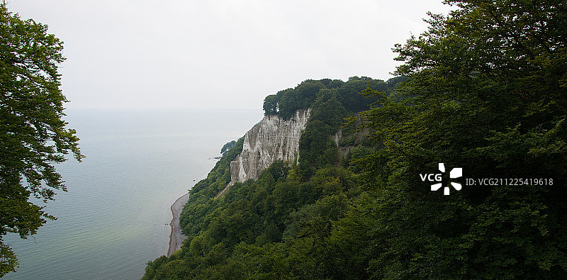 背景为悬崖和大海的树木图片素材