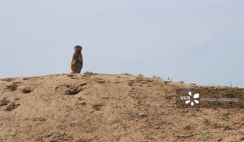 守望先锋图片素材