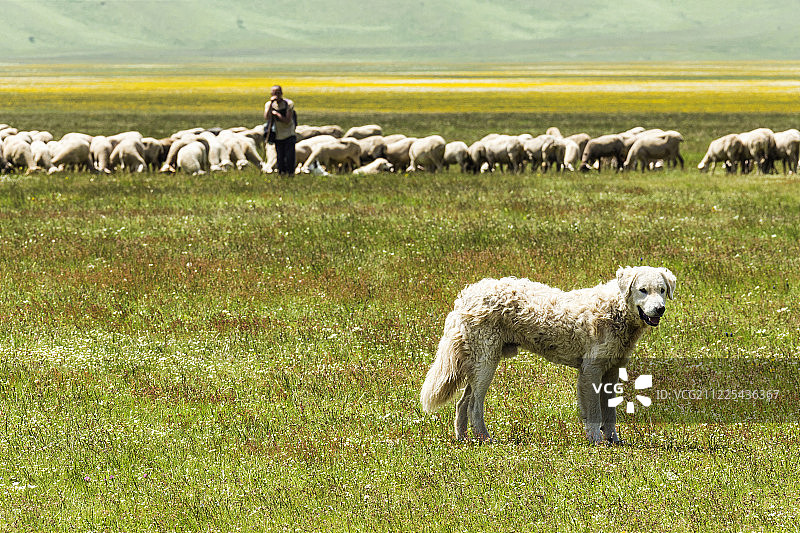 《卫报》图片素材