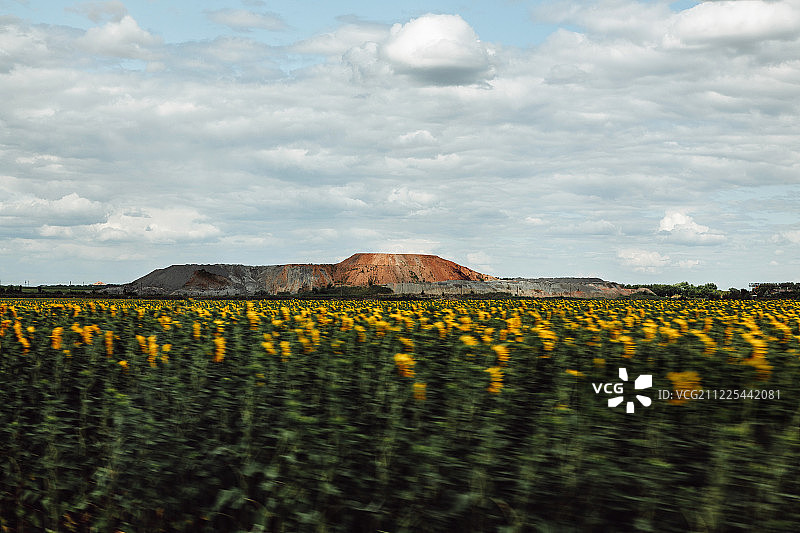 风景：炉渣堆和向日葵图片素材