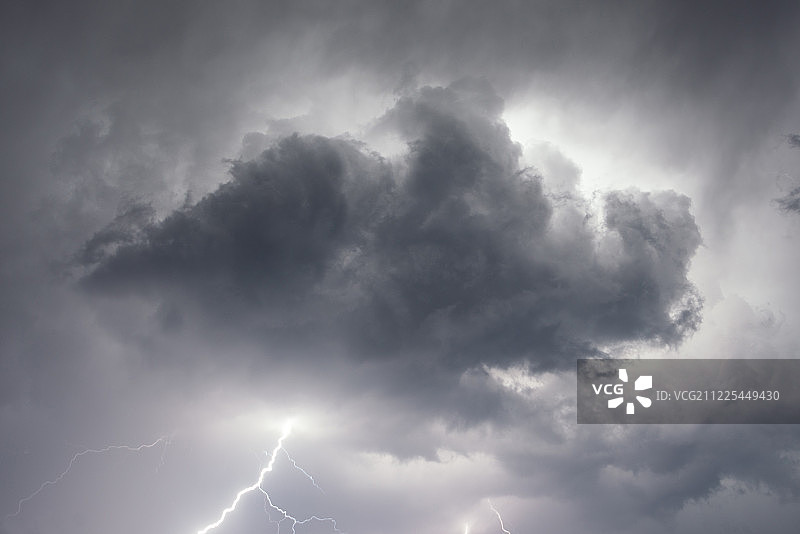 巨齿鲨图片素材