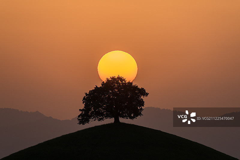 生命的起源图片素材