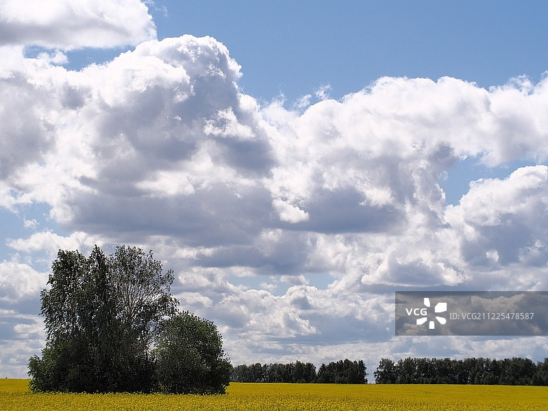 田野上的云彩图片素材