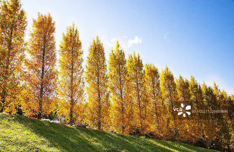 东部森林公园托芙·杨松儿童公园图片素材
