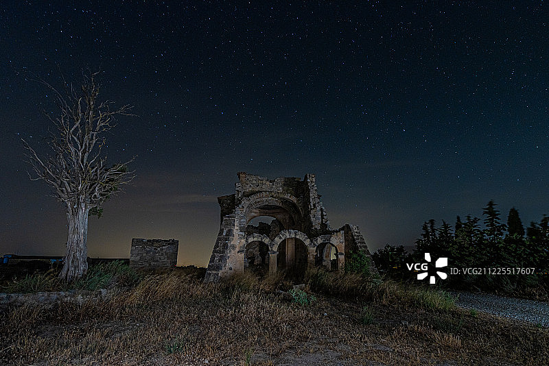 树木与废墟图片素材