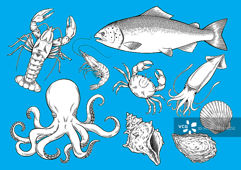 海鲜种类图片素材