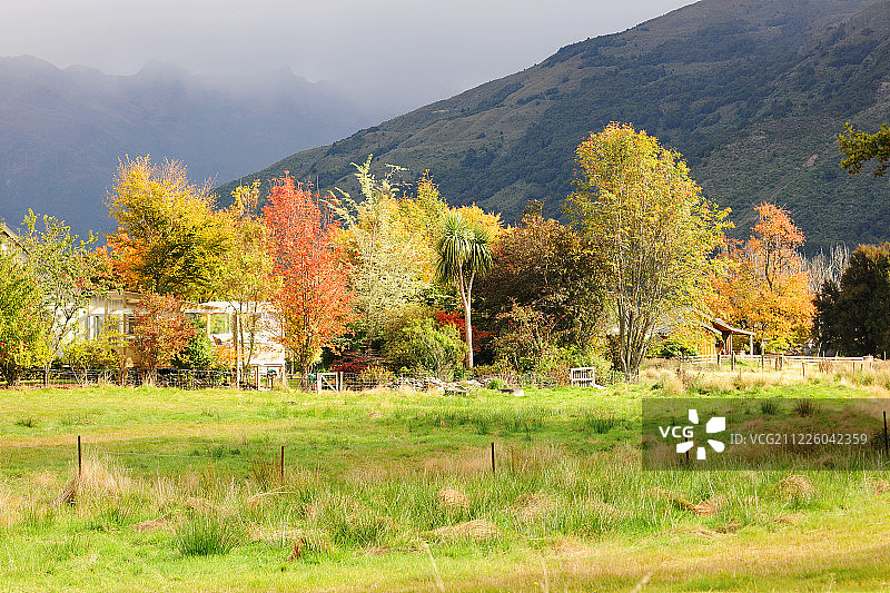 新西兰,瓦纳卡秋景,Wanaka图片素材