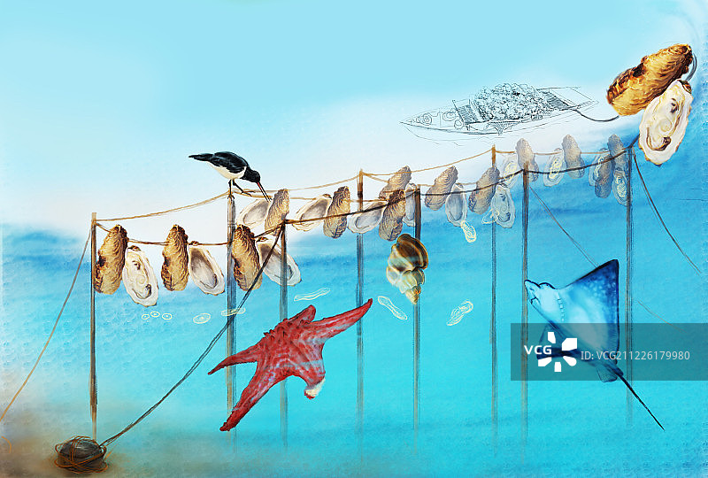 海蛎场图片素材