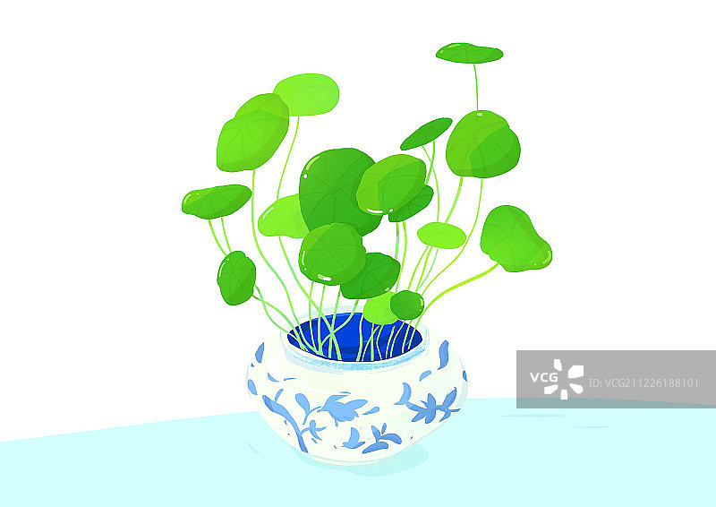 简约清新插画铜钱草青花瓷图片素材