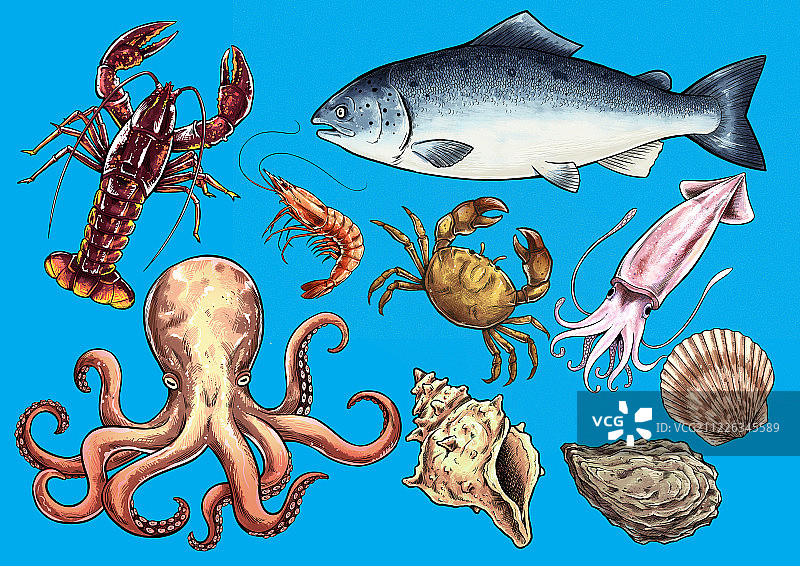 九大海鲜图片素材