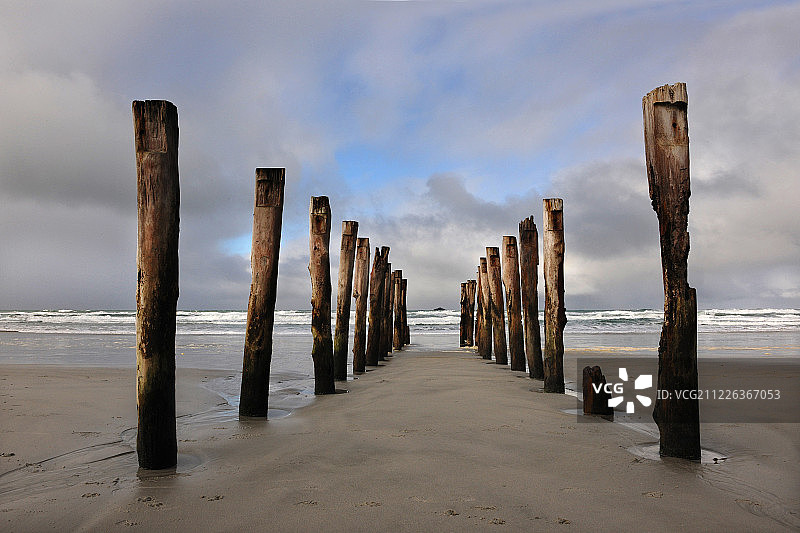 新西兰，旦尼丁木桩海滩，NewZealand Dunedin图片素材