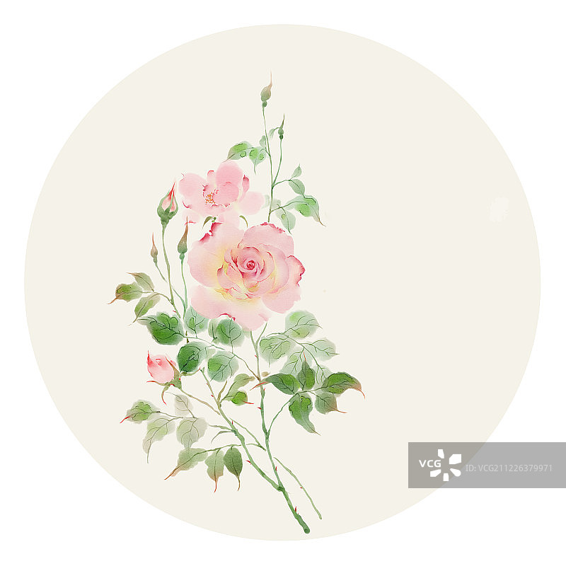 小清新水彩风格花草插画月季花图片素材