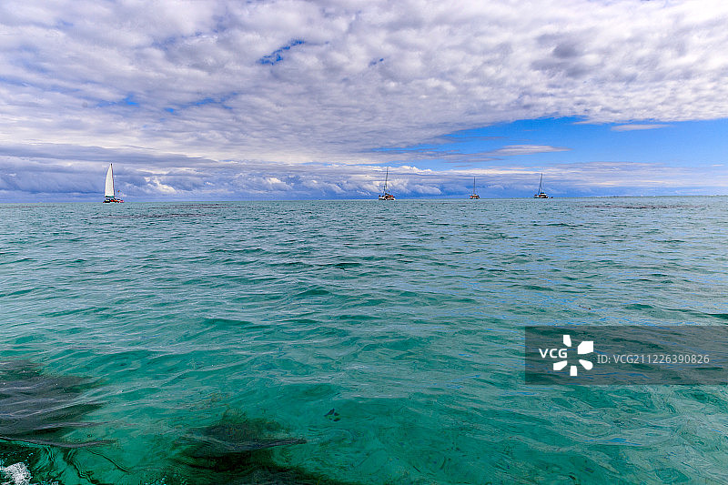 海豚湾风光图片素材