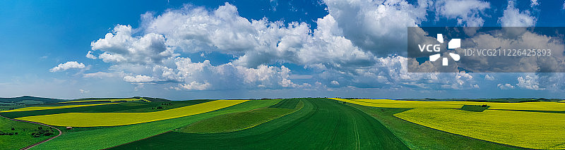 内蒙古呼伦贝尔牙克石市田野图片素材