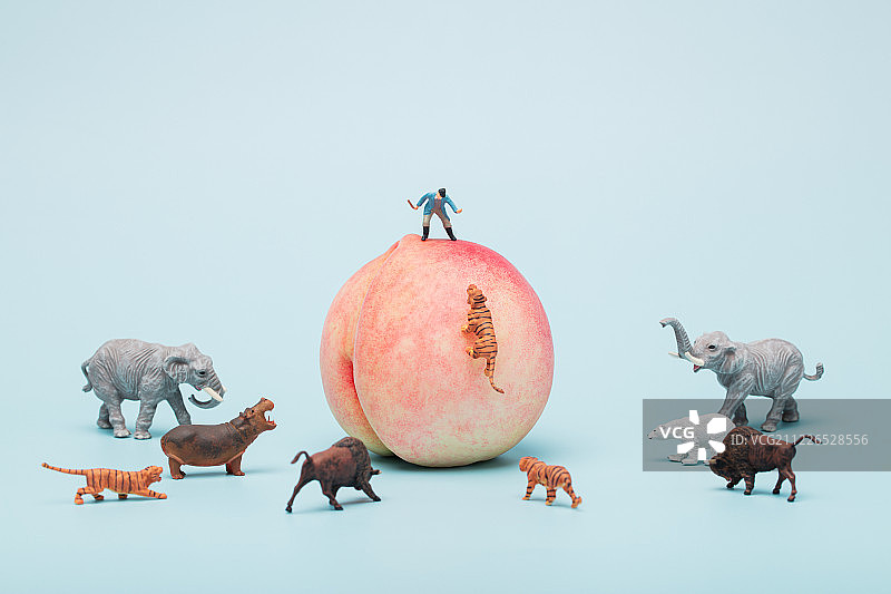 站在桃子上的人被动物围攻陷入困境图片素材