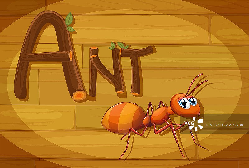 带蚂蚁的木制框架图片素材