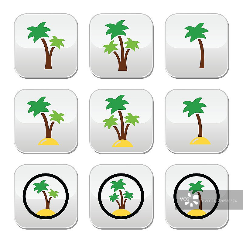 海滩上充满异国情调的棕榈树假期图片素材