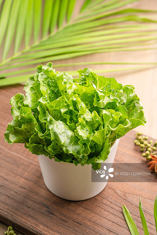 新鲜的蔬菜——生菜图片素材