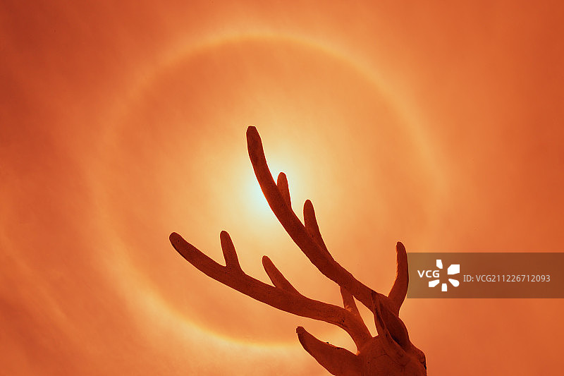 鹿角和日晕图片素材