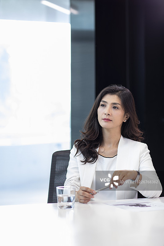 漂亮的商务女士在会议室图片素材