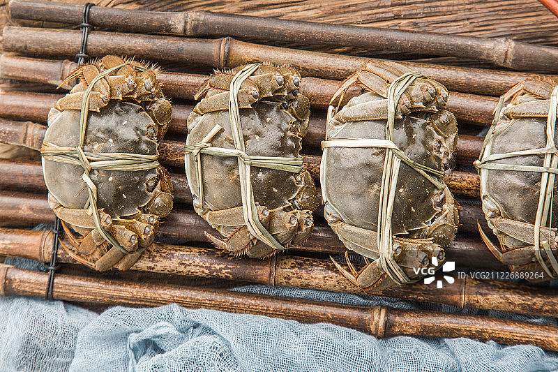 阳澄湖大闸蟹图片素材