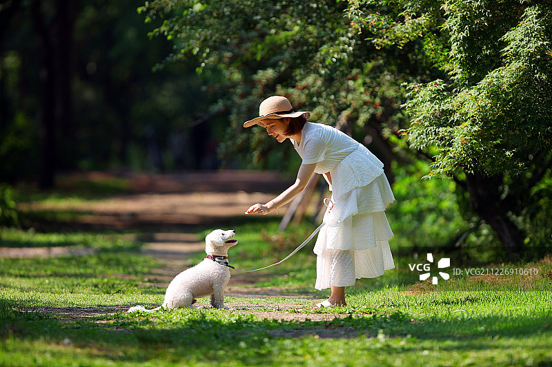 快乐野餐与可爱狗图片素材