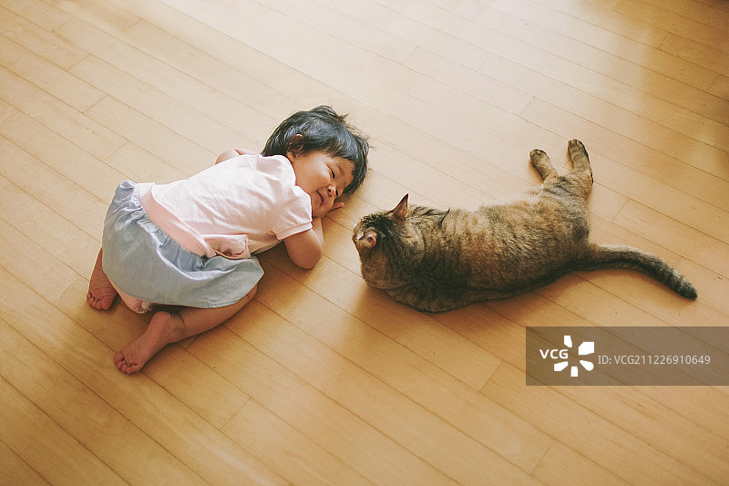 婴儿与猫玩耍图片素材