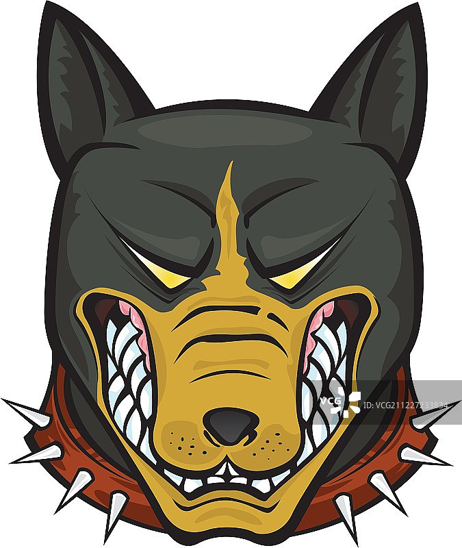 比特斗牛犬图片素材