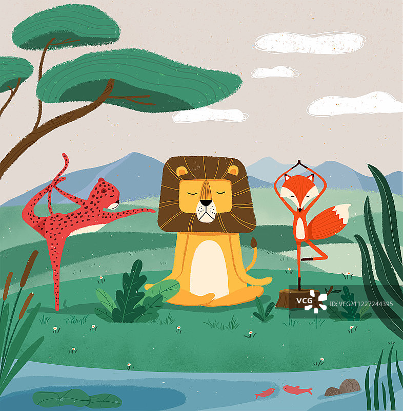 做瑜伽运动的小动物们图片素材