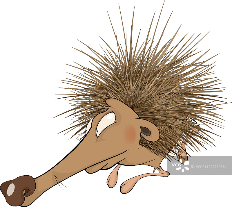 刺猬图片素材