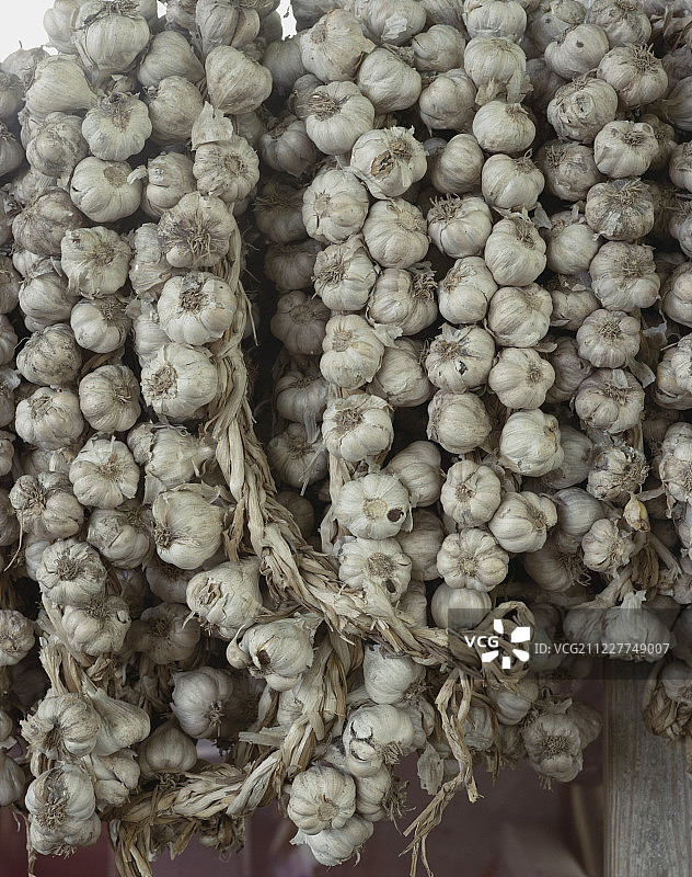 成捆的大蒜图片素材