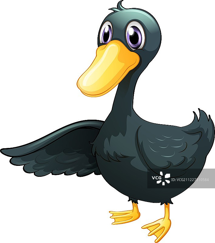 一只年轻的灰色鸭子图片素材